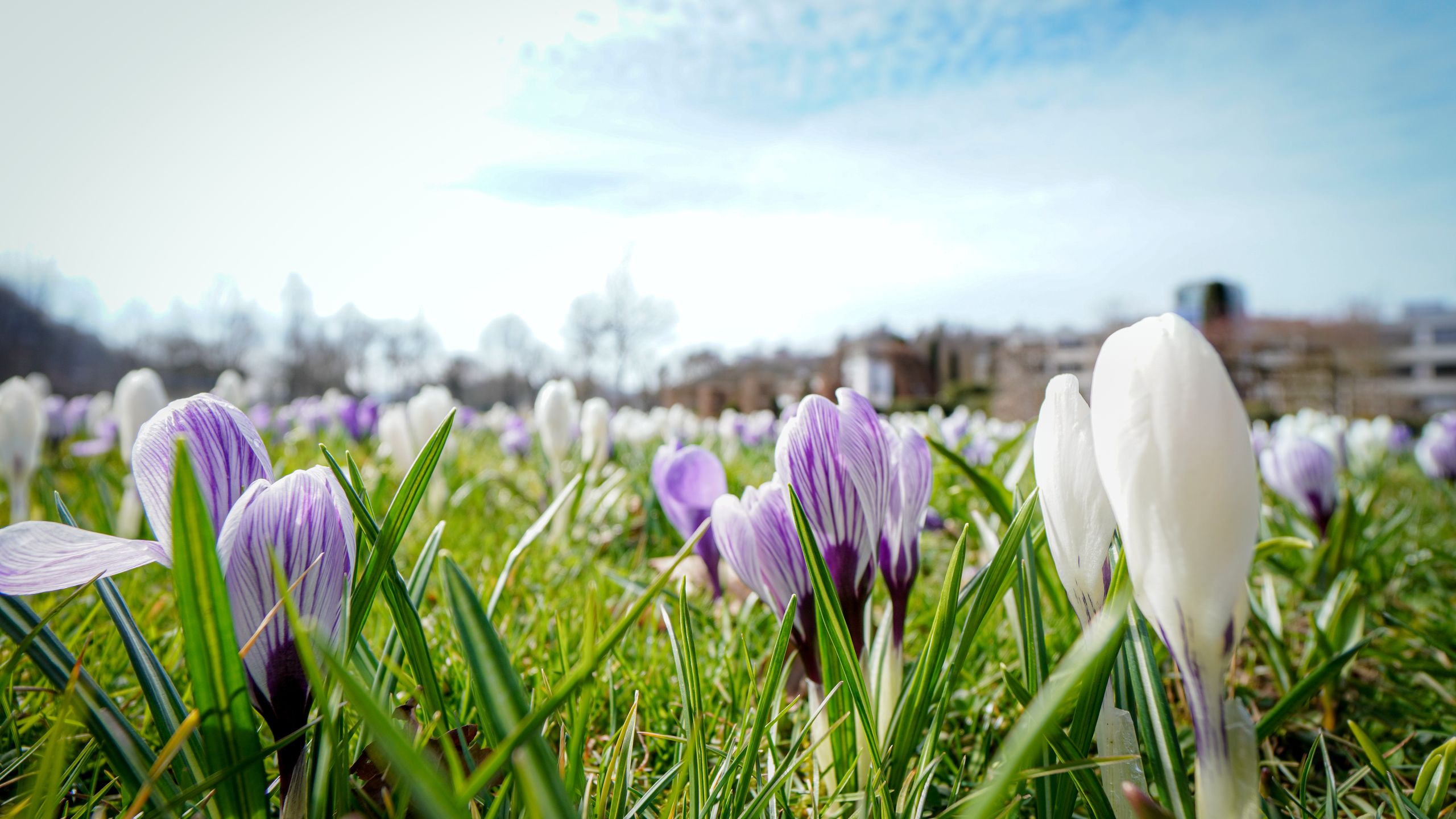 Brenzpark im Fühling